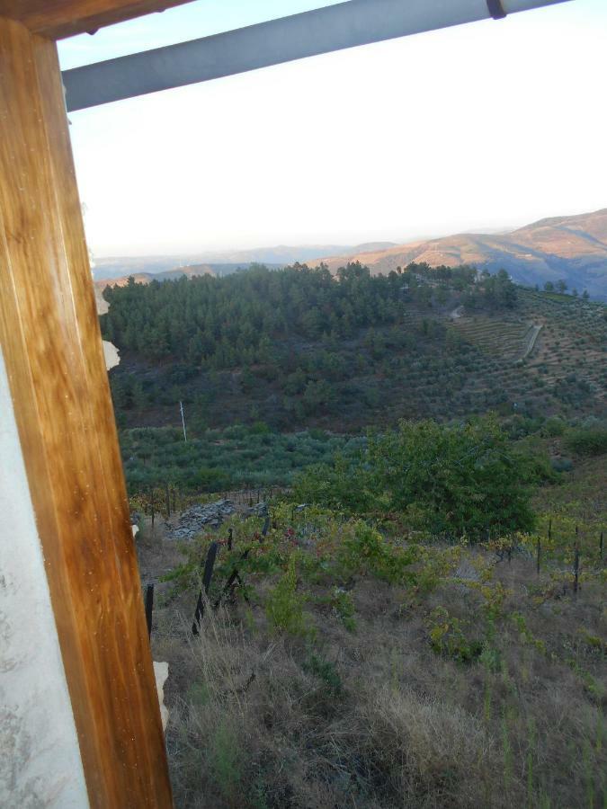 Villa Casa Da Vinha Em Tabuaco - Douro Exterior foto
