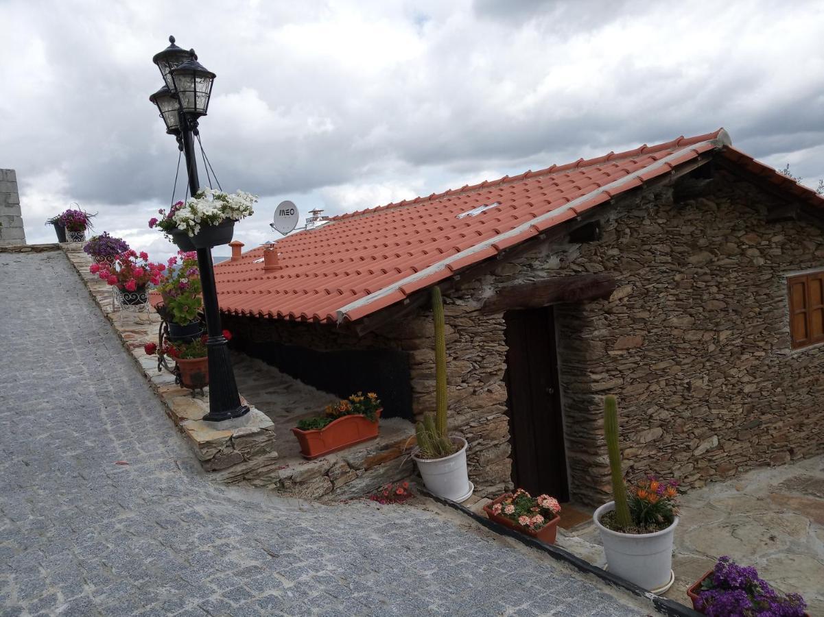 Villa Casa Da Vinha Em Tabuaco - Douro Exterior foto